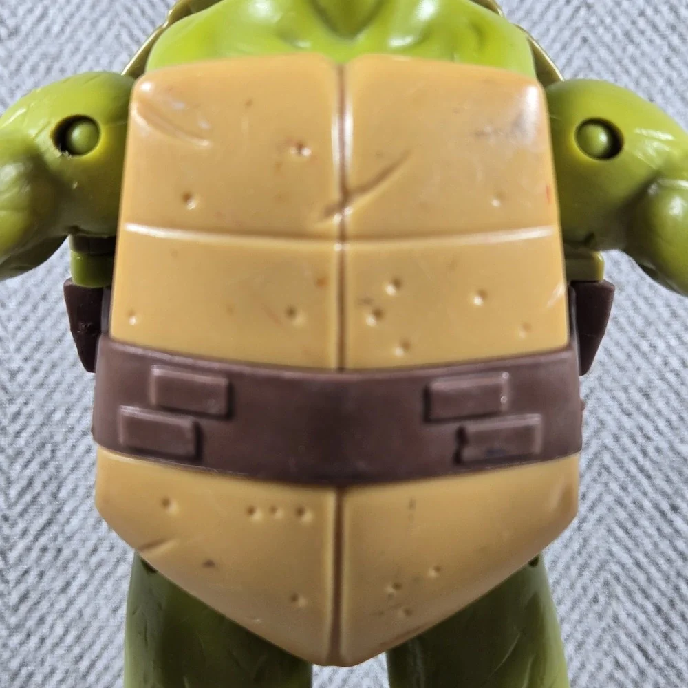 Teenage Mutant Ninja Turtles 10